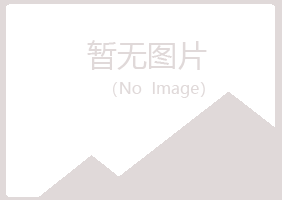 鲁山县山柳机械有限公司